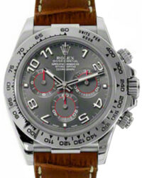 Rolex Cosmograph Daytona Gray Dial Men's Watch 116519